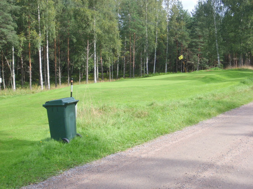 Golf Green in the Front Yard, also trash day.